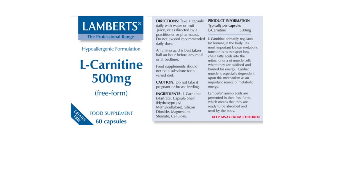 Lamberts L-Carnitine 500mg  (60 Capsules) # 8306