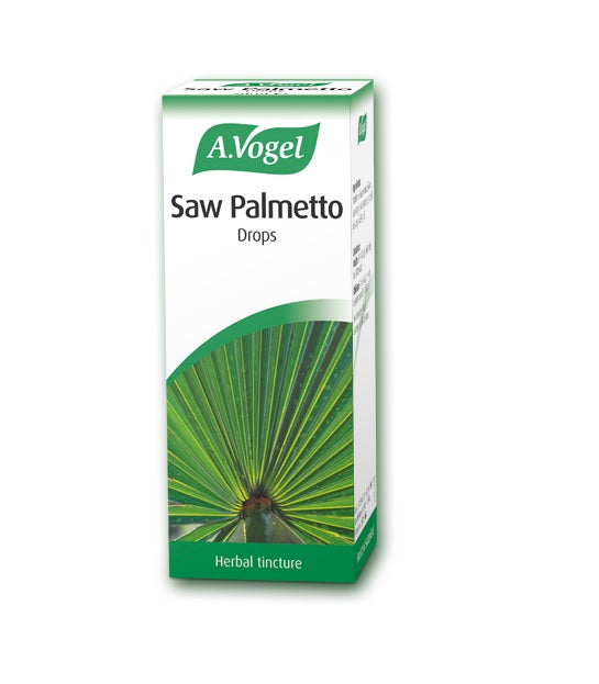 A Vogel Saw Palmetto